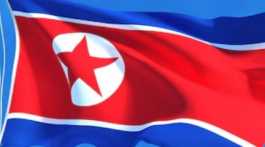  North Korea flag