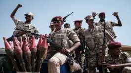 Sudan Rapid Support Forces
