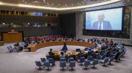  U.N. Security Council