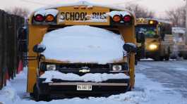 snow covered school busses